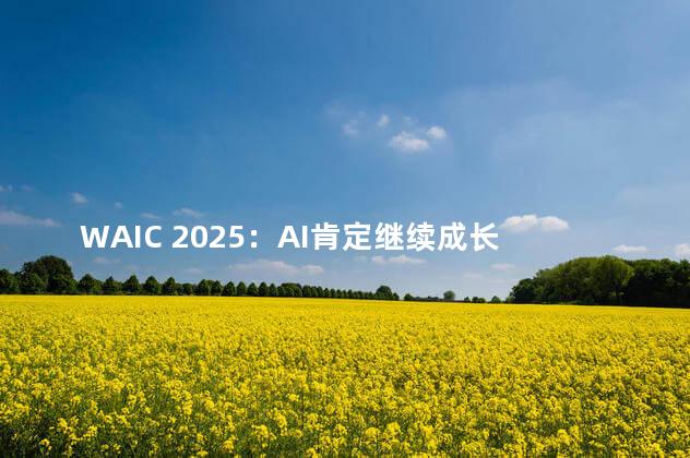 WAIC 2025：AI肯定继续成长